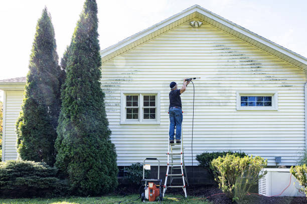 Boat and Dock Cleaning in Allardt, TN